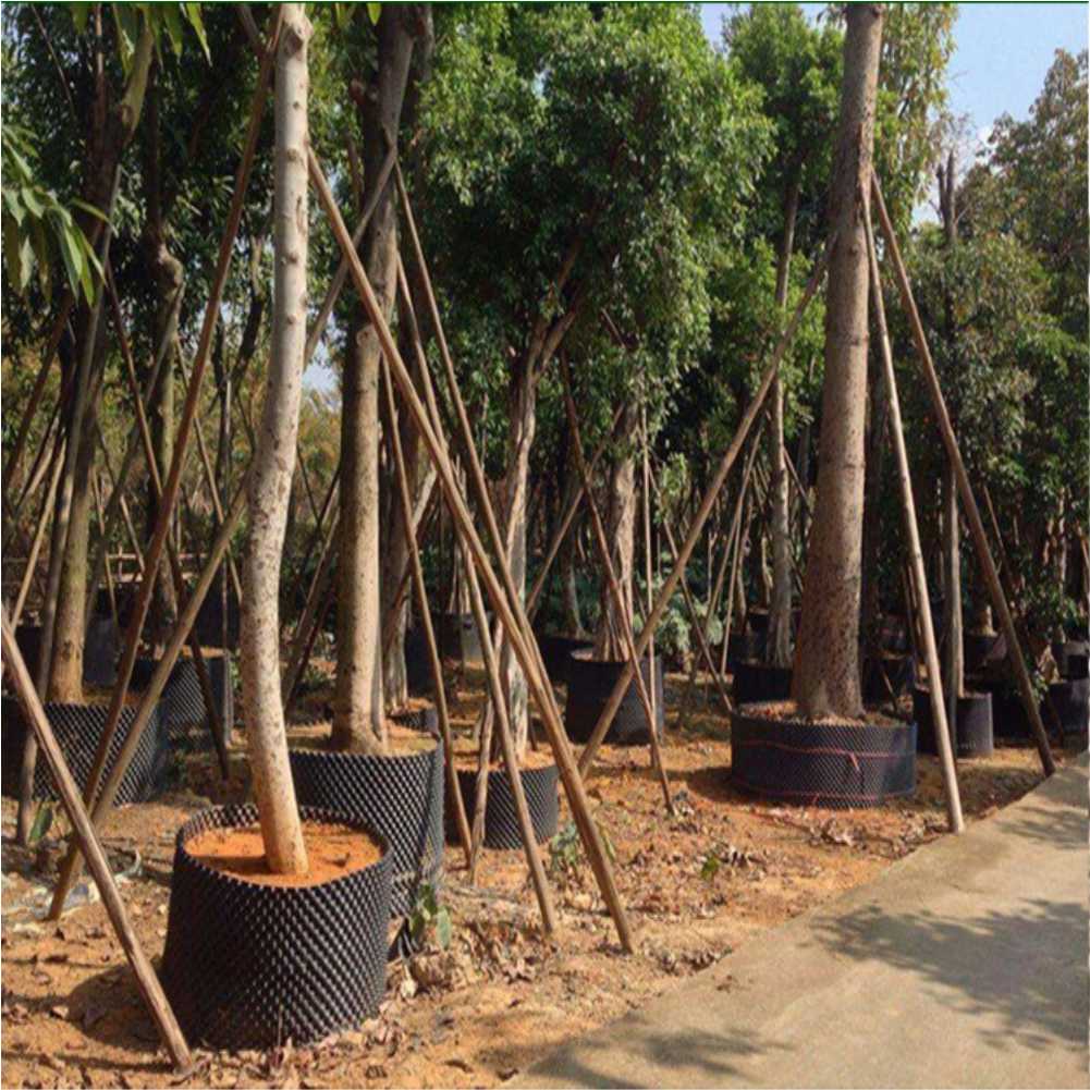 Grow Container Garden Tree Bon - Garden Tools recension och pris